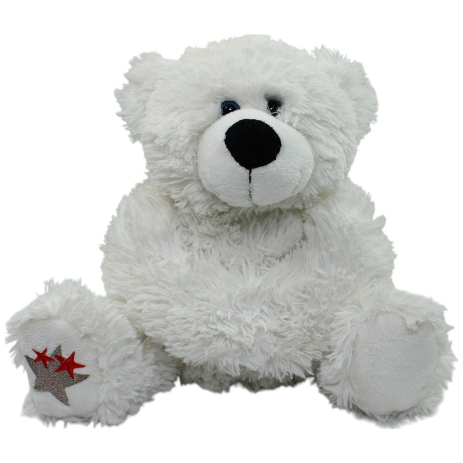 Süßer Teddybär mit Stern, weiß
