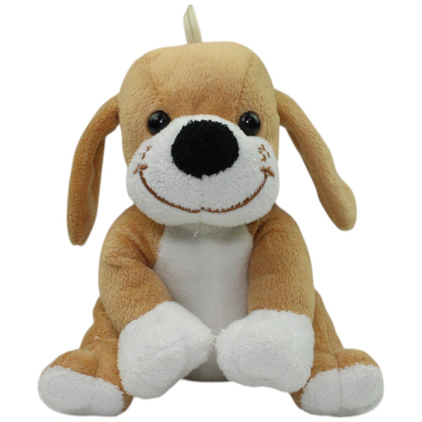 Süßer hellbrauner Hund