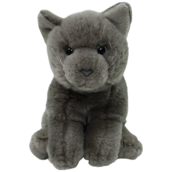 Leosco, graue süße Katze