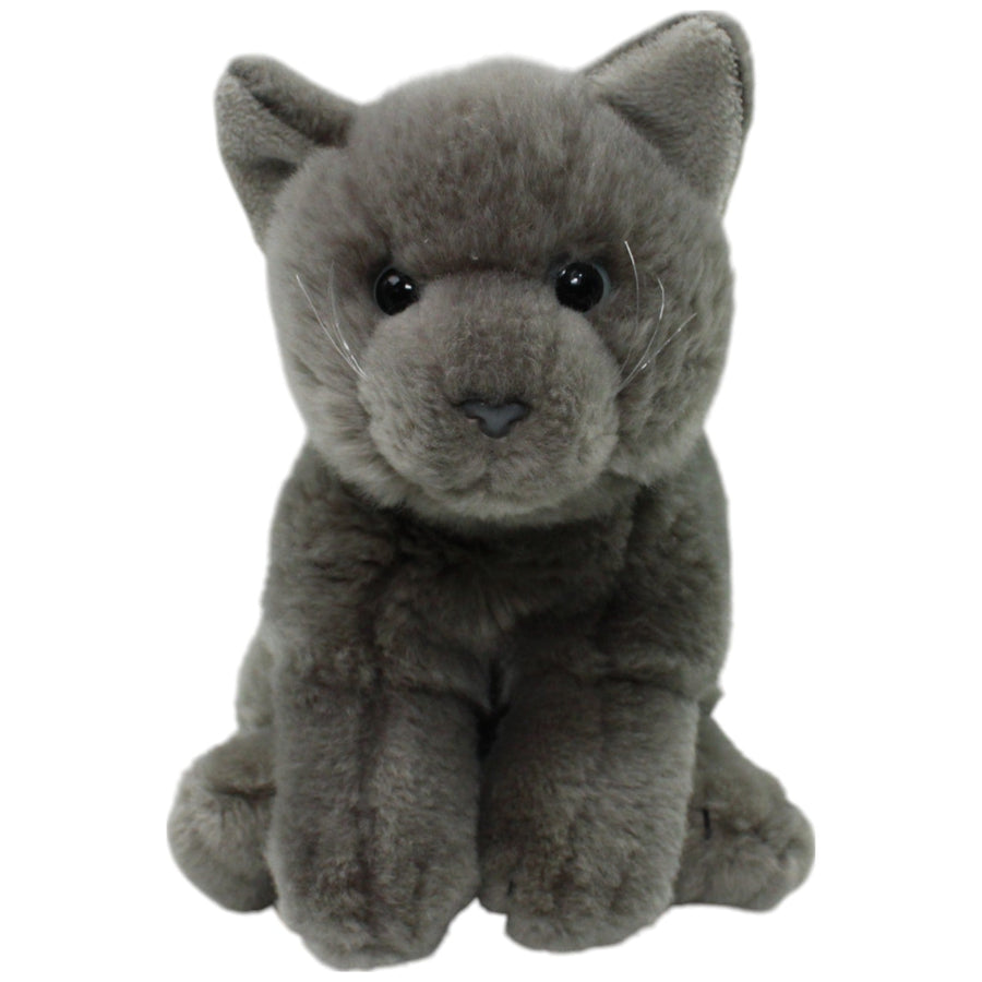 Leosco, graue süße Katze