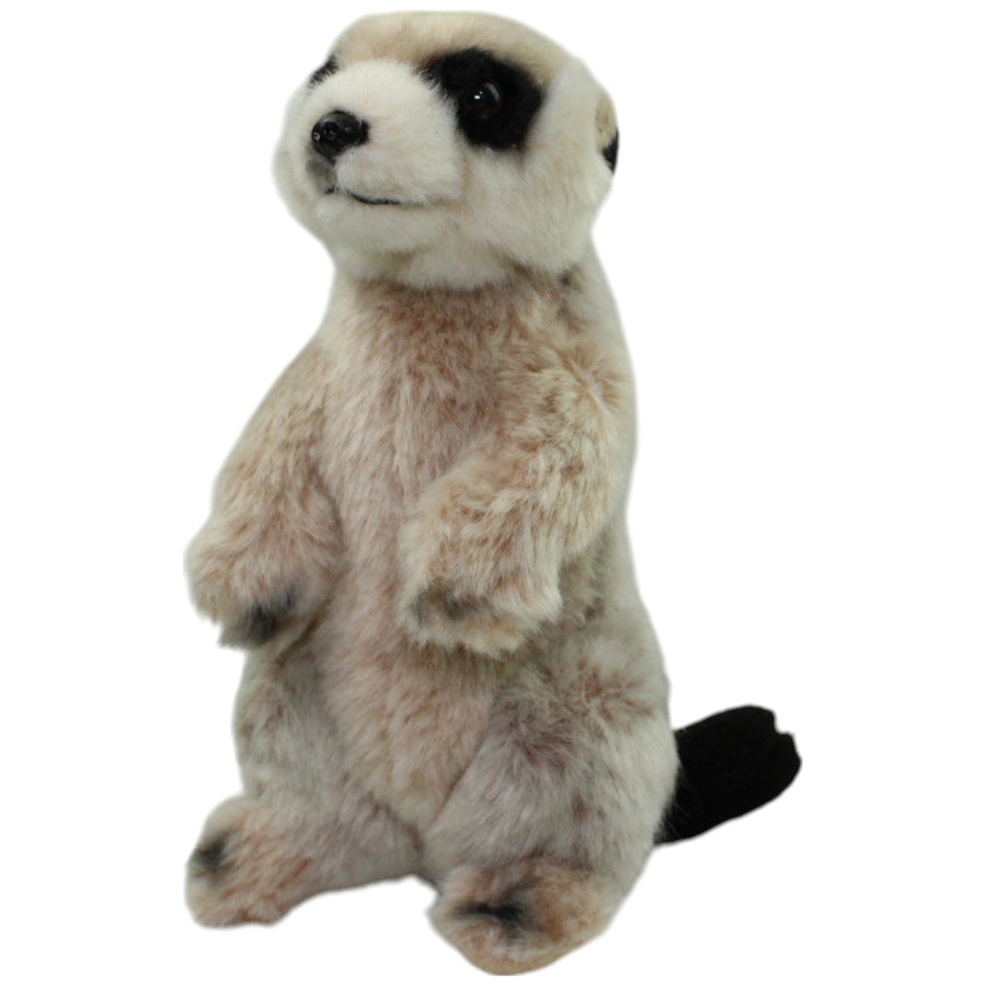 Süßes Erdmännchen, stehend