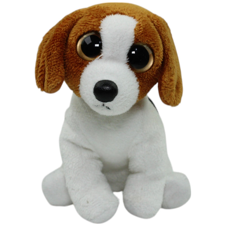 Kleiner Beagle, sitzend