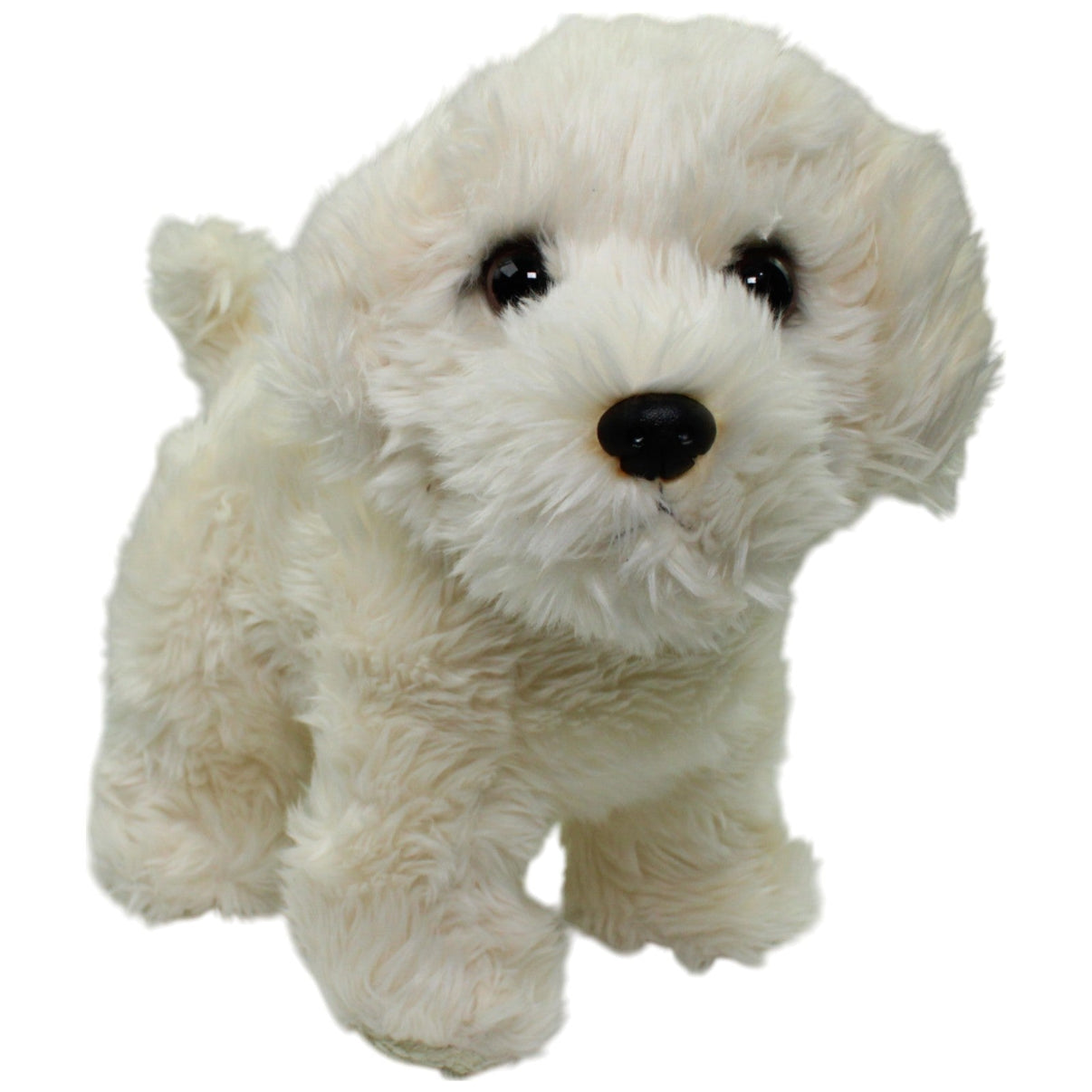 123000016109 Teddy - Hermann Weißer Malteser, stehend Kuscheltier Kumpel Leo Gebraucht Hund