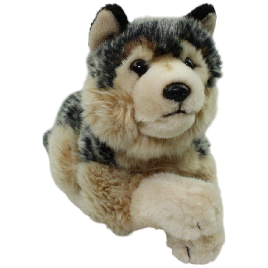 Hübscher Grauwolf, liegend