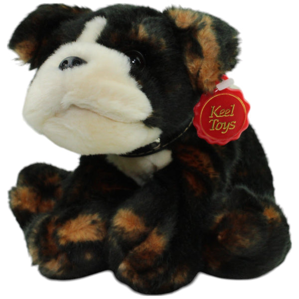 Bulldogge Welpe Biffa mit Halsband