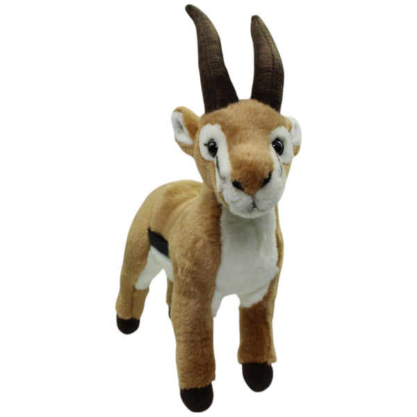 Leosco, Gazelle