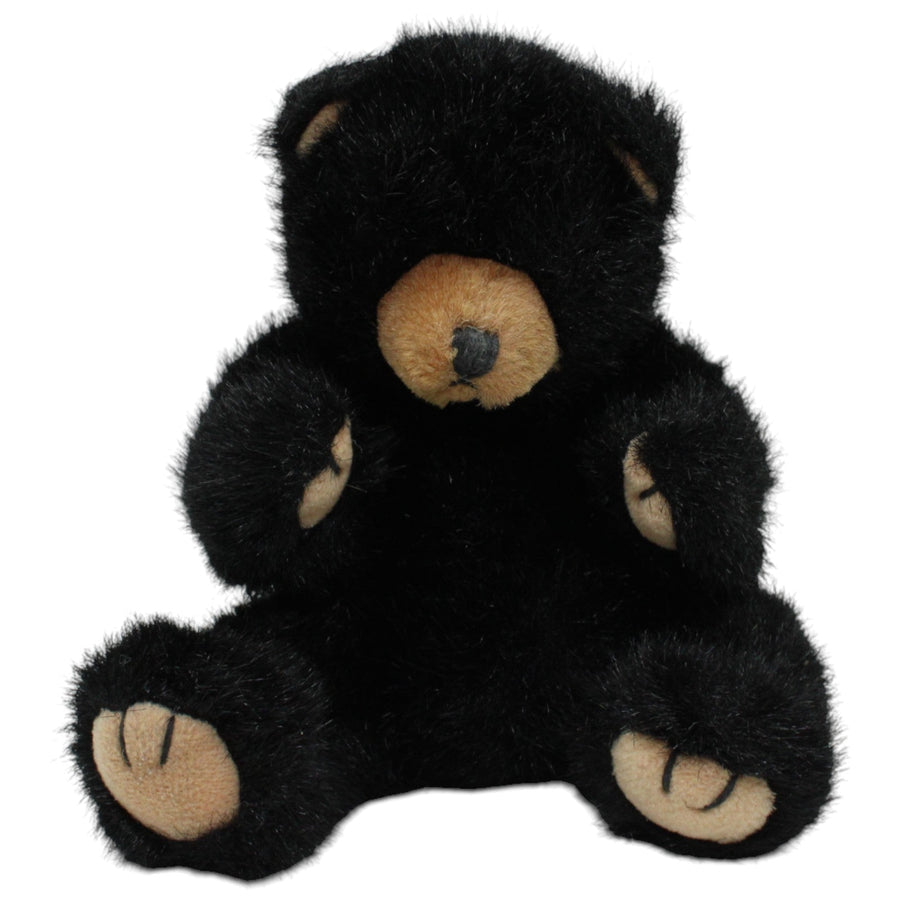Amerikanischer Schwarzbär Blacky