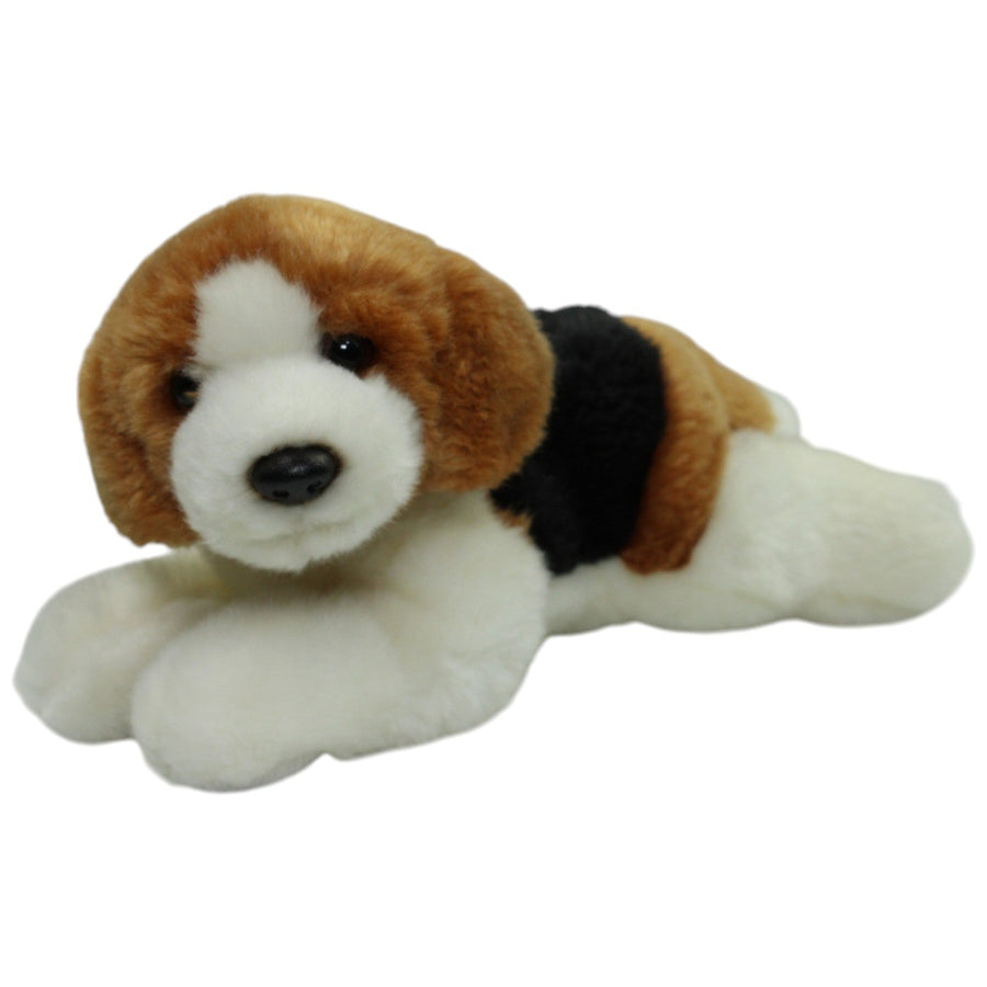 Süßer Beagle, liegend