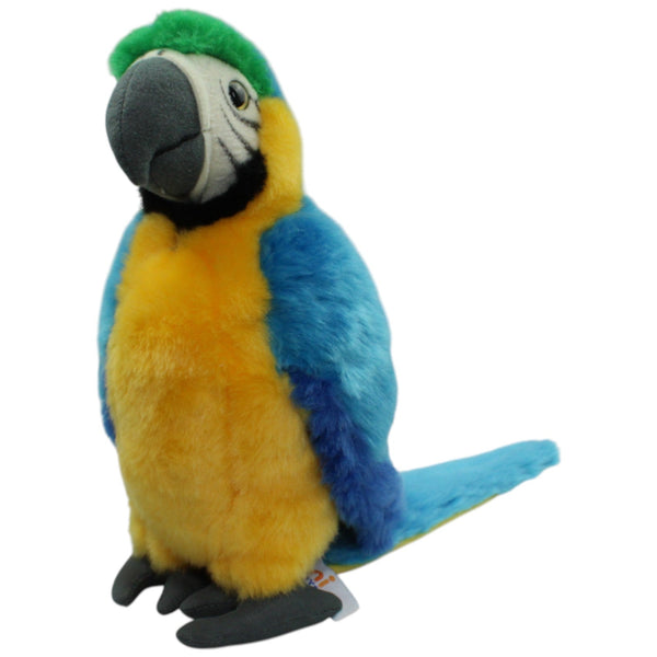 Schöner Papagei, blau-gelb