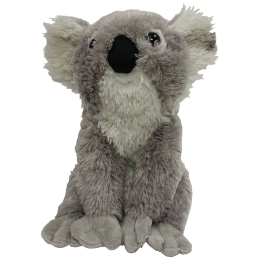 Zotteliger Koala