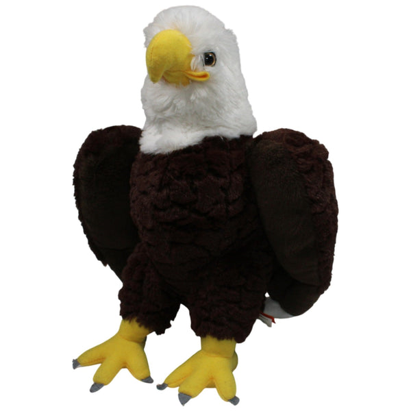 Großer Weißkopfseeadler