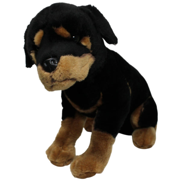 Schöner XL Rottweiler