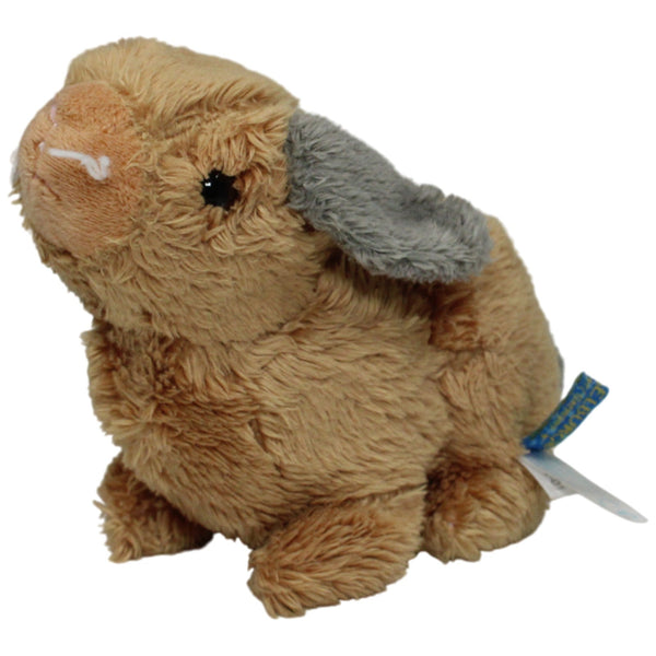 Süßer kleiner Hase