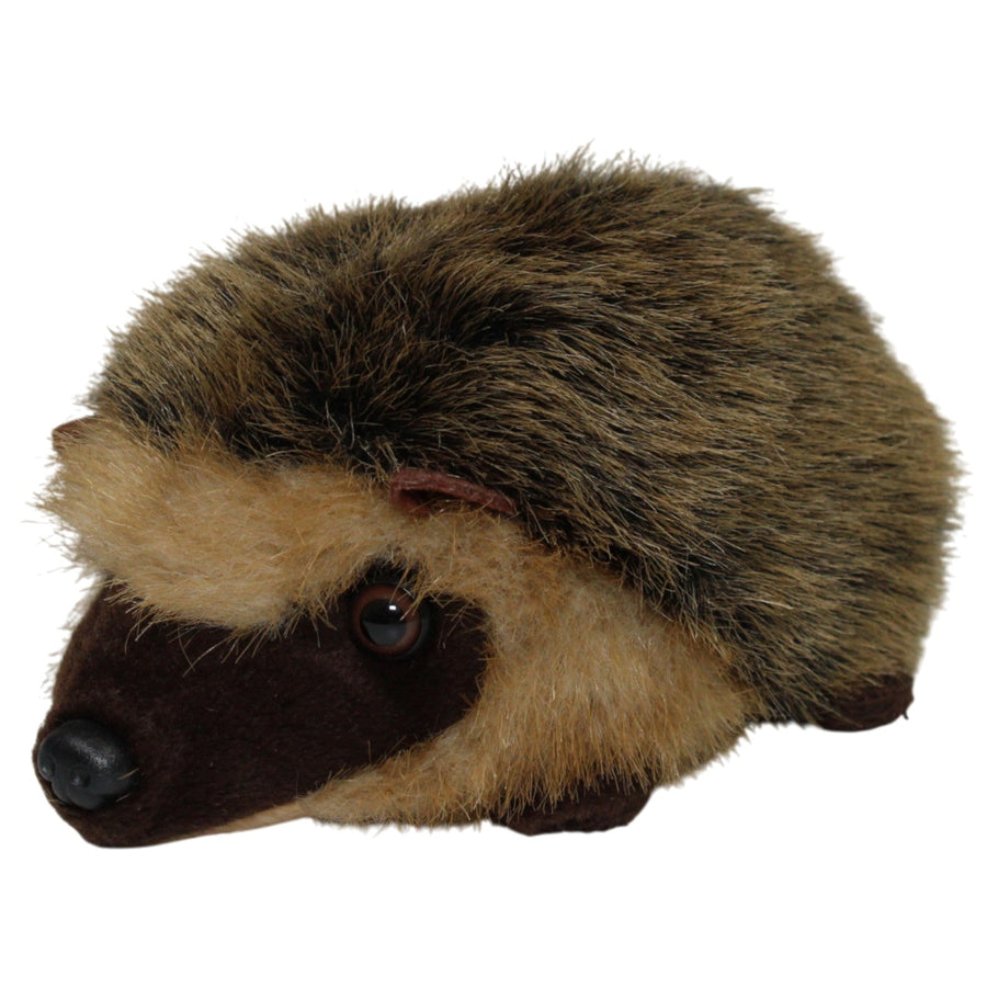 Hübscher Igel