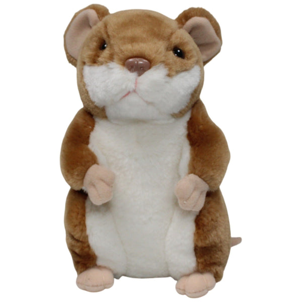 Süßer Hamster, stehend