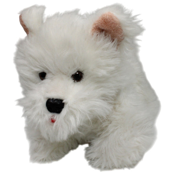 Großer West Highland White Terrier