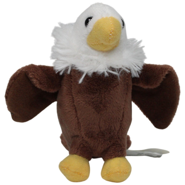 Kleiner Weißkopfseeadler