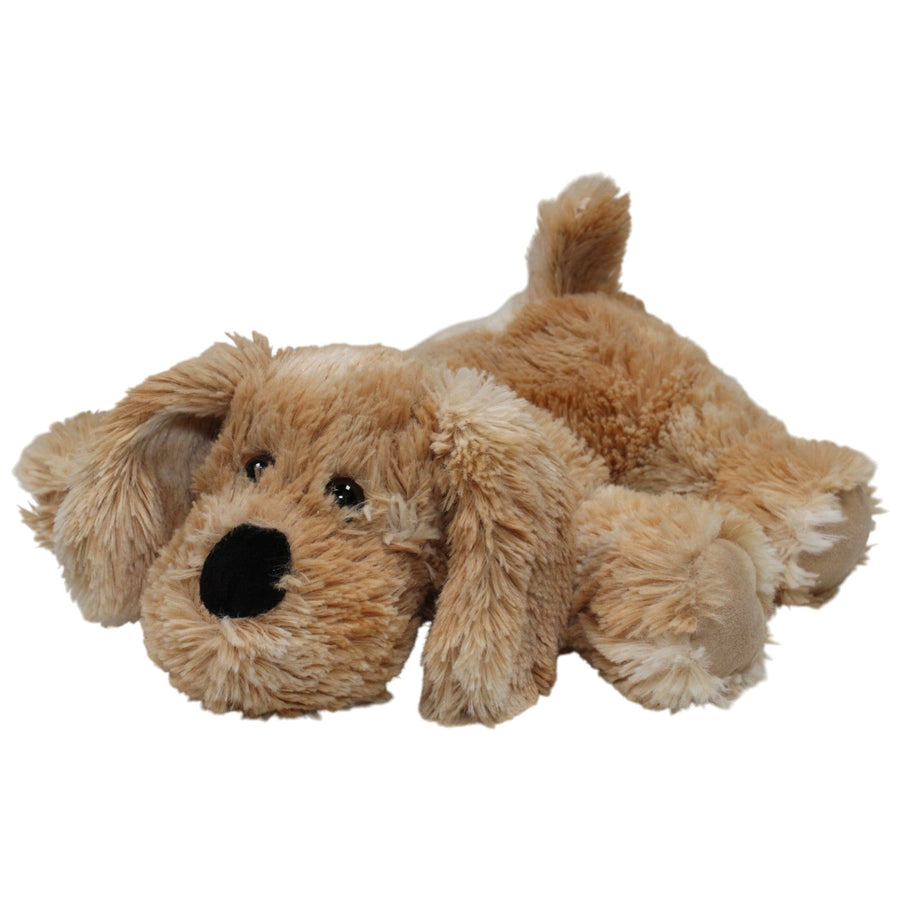Süßer liegender Hund