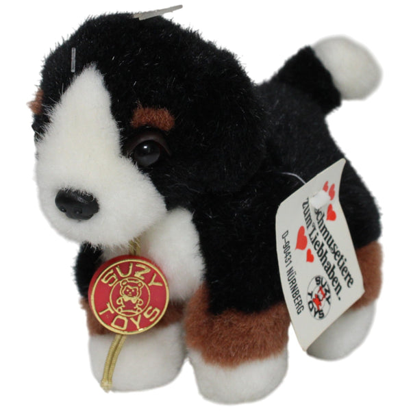 Süßer kleiner Berner Sennenhund