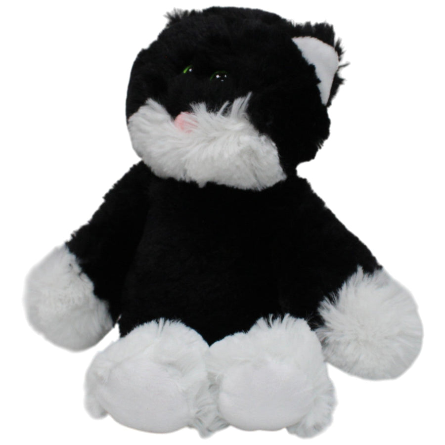 Schwarze Katze Bessie