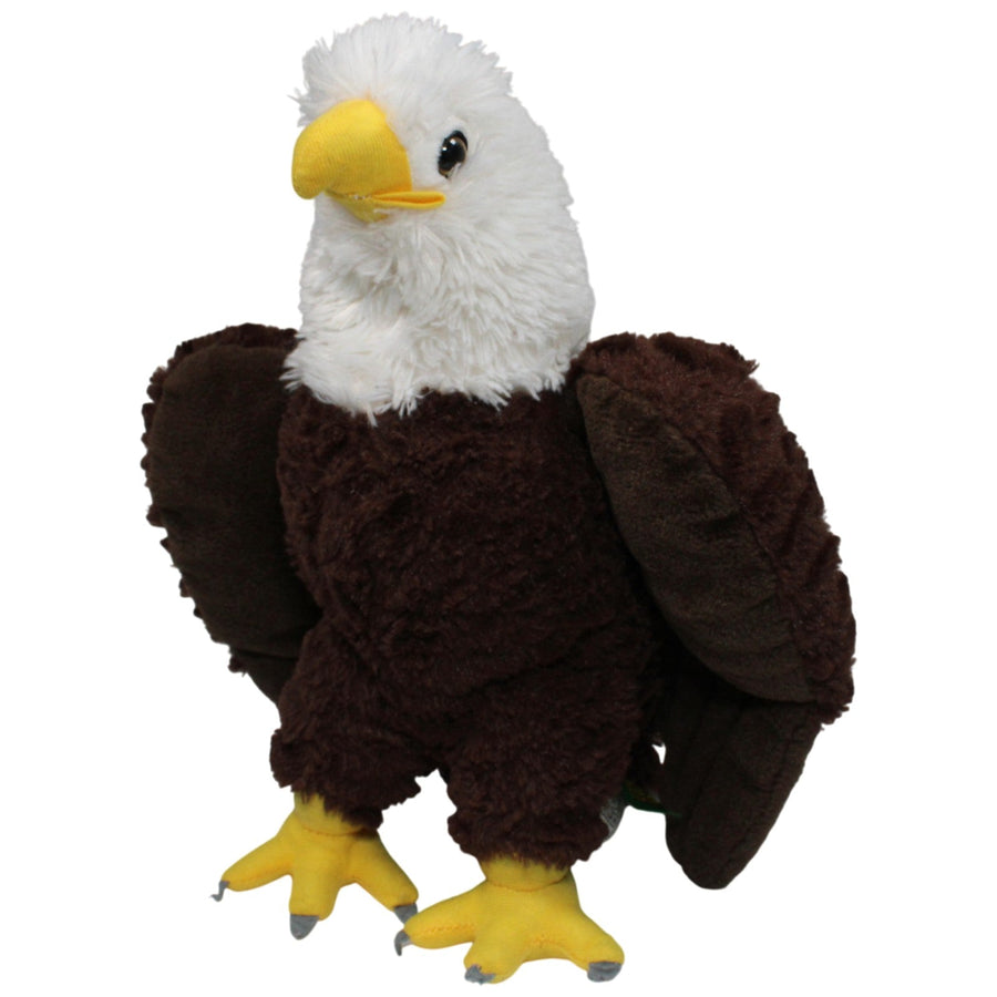 Hübscher Weißkopfseeadler, stehend