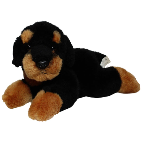 Süßer Rottweiler, liegend