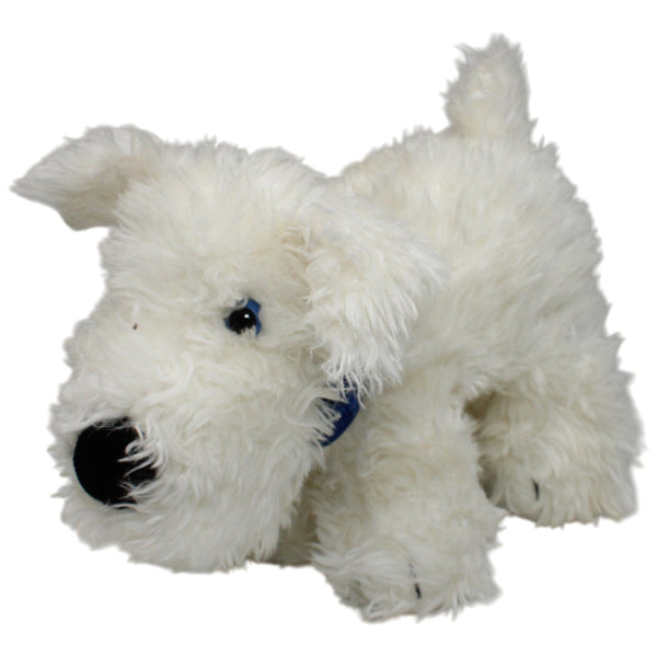 Hund mit blauem Halstuch, weiß