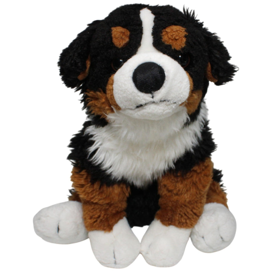 Berner Sennenhund, sitzend
