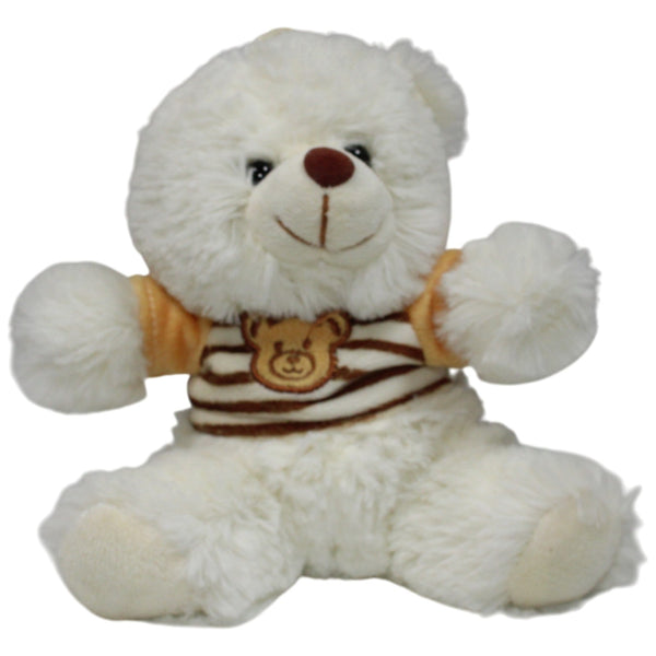 Kleiner weißer Teddy mit Shirt