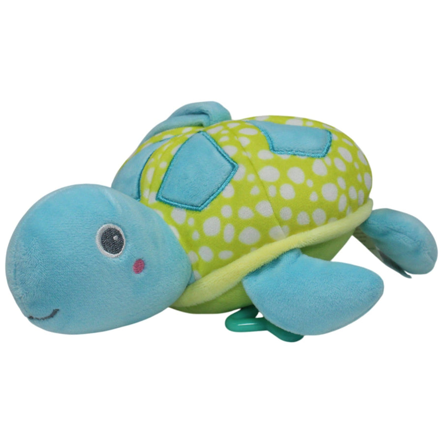 Blaue Schildkröte mit gelben Panzer