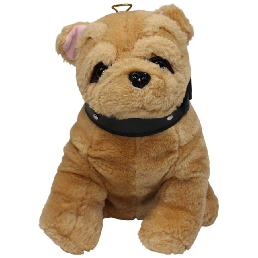 Süßer brauner Shar-Pei mit Halsband, sitzend
