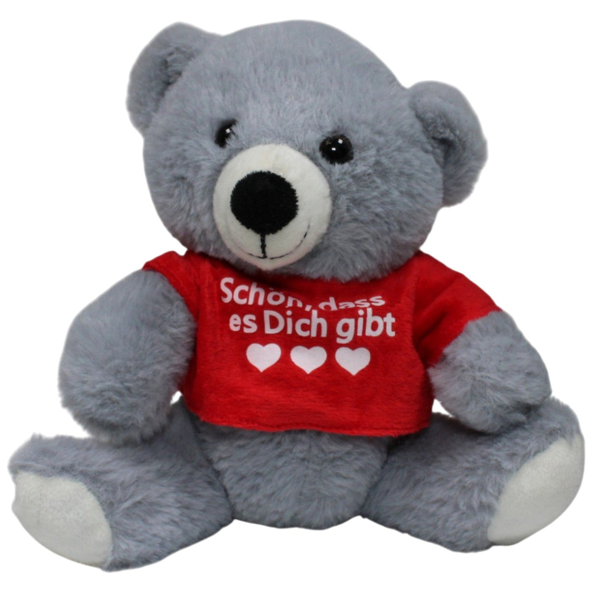 123000017968 Unbekannt Grauer Teddybär mit Shirt "Schön, dass es Dich gibt" Kuscheltier Kumpel Leo 23cm ebay - stofftiere Gebraucht