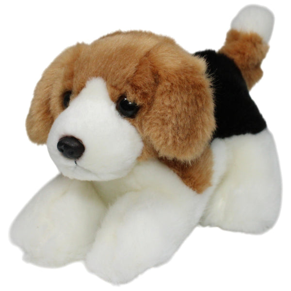 Miyoni, liegender Beagle