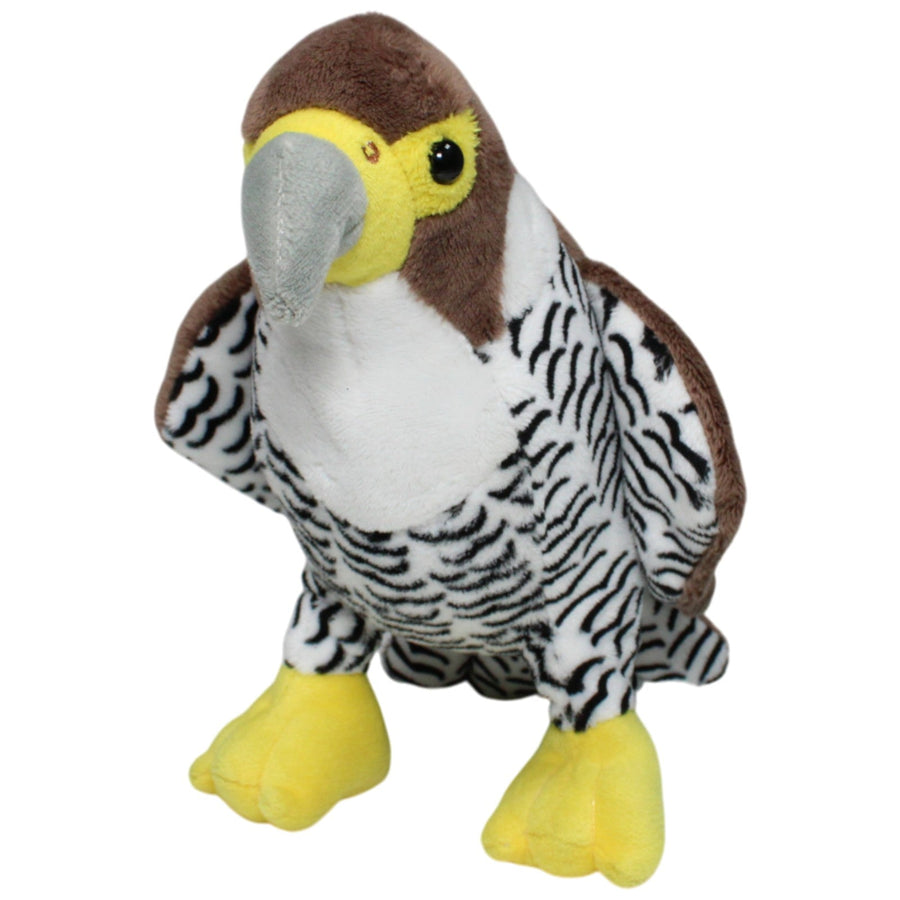 Schöner Falke