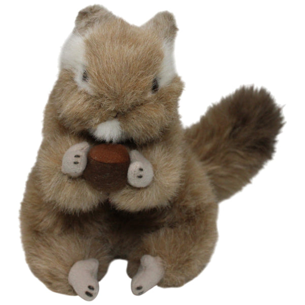 Hübsches Streifenhörnchen mit Nuss, stehend