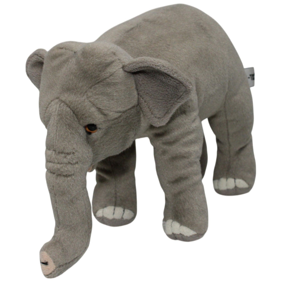 Hübscher Elefant mit kleinen Ohren