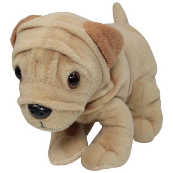 Süßer Shar-Pei, stehend