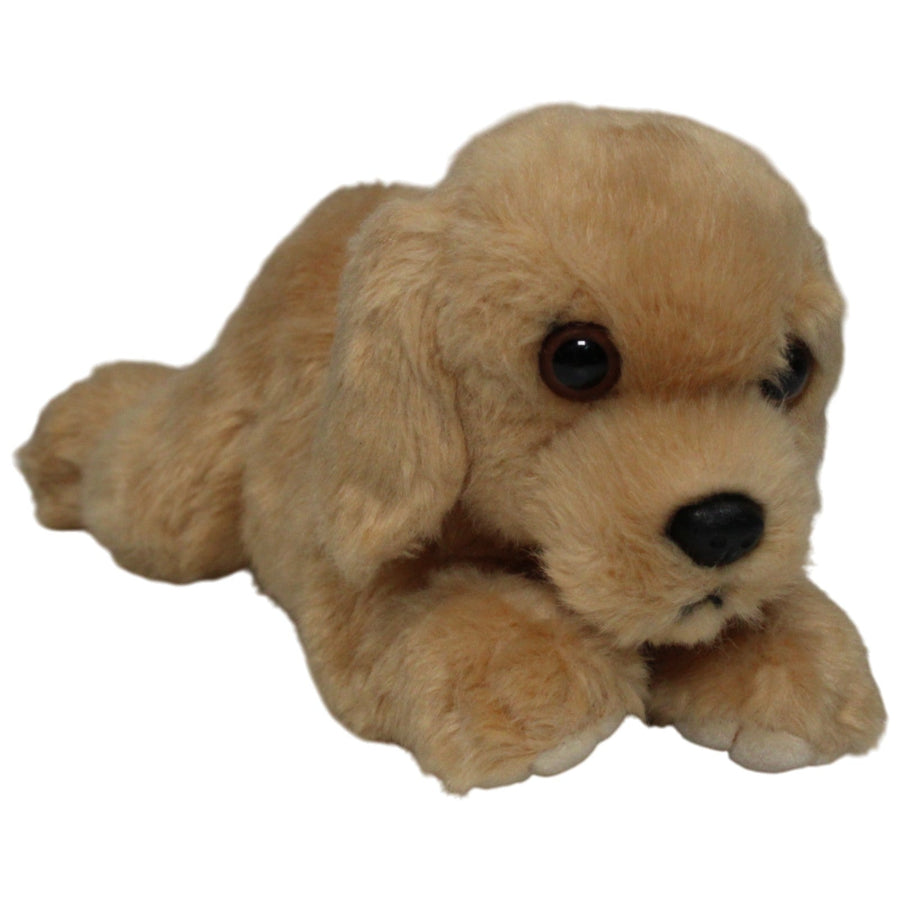 Schöner Golden Retriever Welpe, liegend