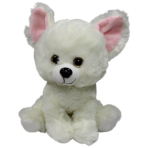 Süßes flauschiger Chihuahua, weiß