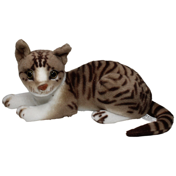 Süße Tigerkatze, liegend