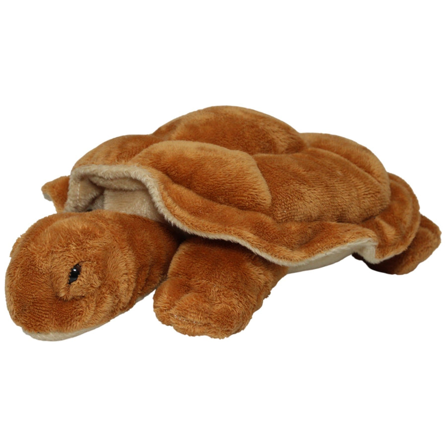 Braune Schildkröte