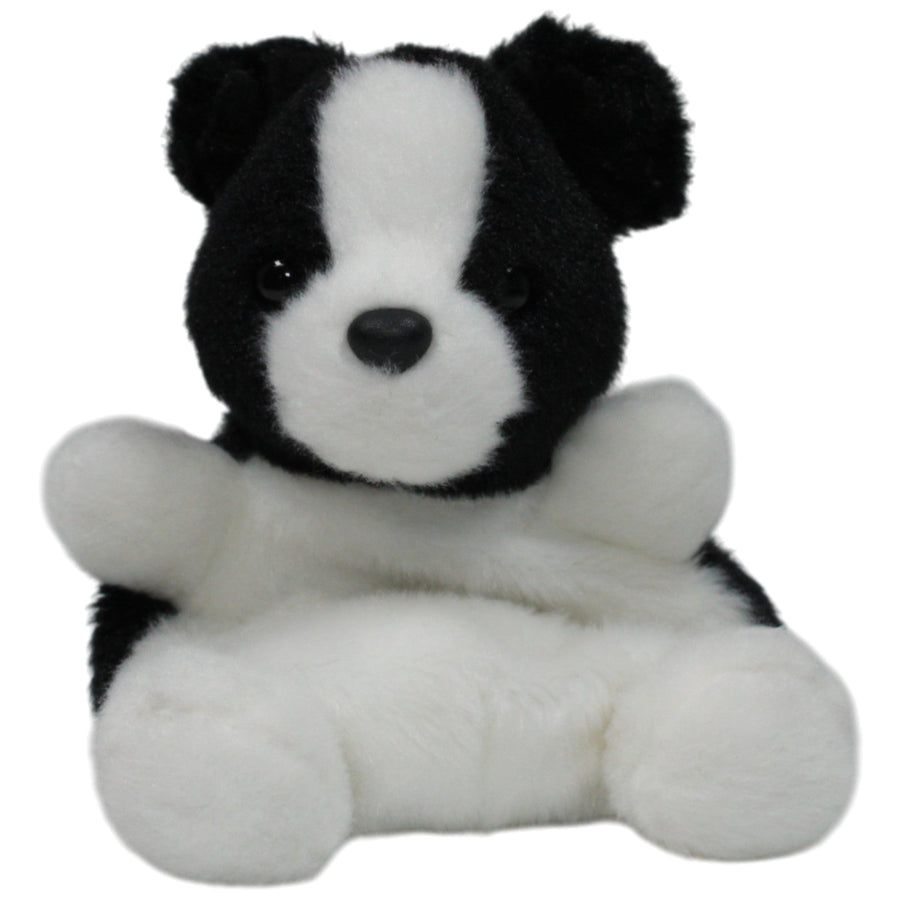Palm Pals, Brody Collie