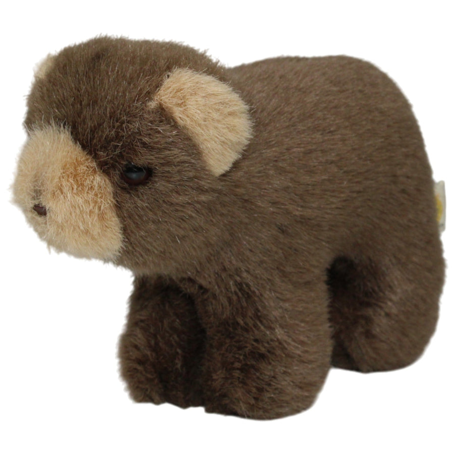 Braunbär, stehend