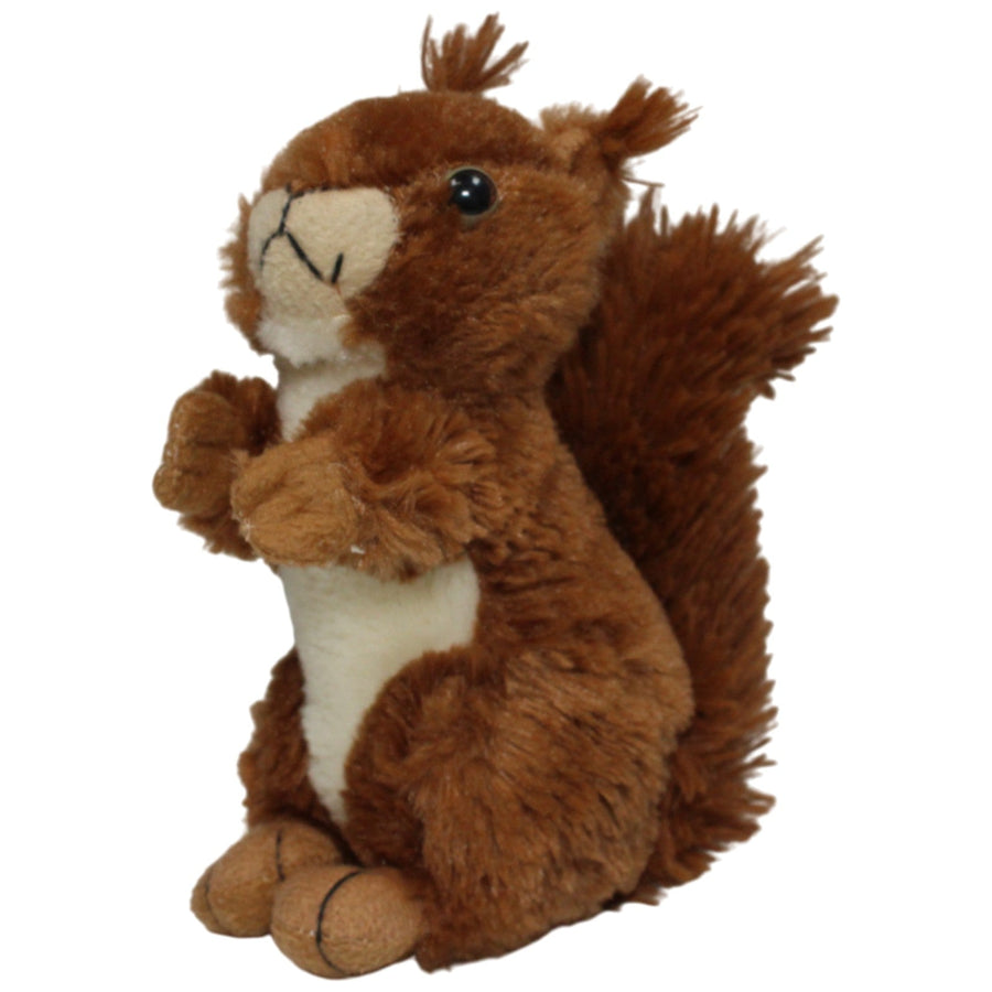 Eichhörnchen