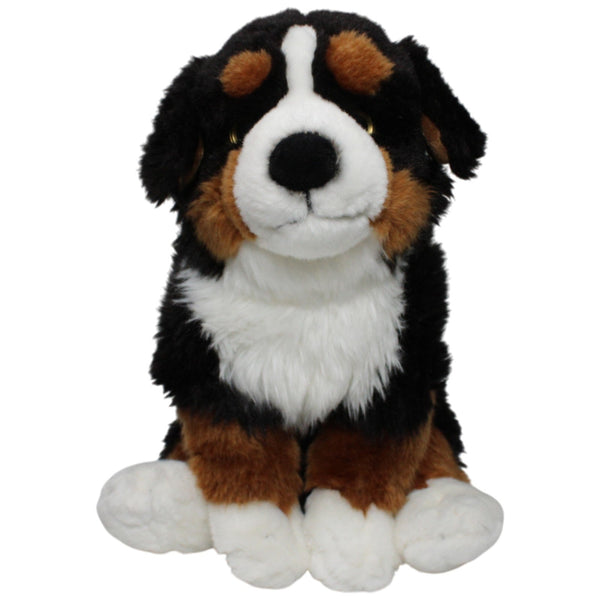 Süßer Berner Sennenhund Welpe, sitzend