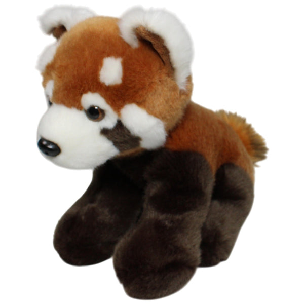 Hübscher roter Panda