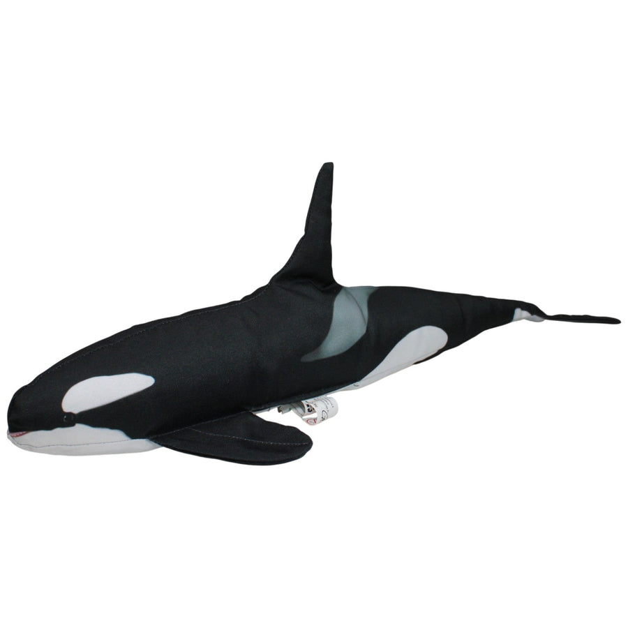 XL Orca