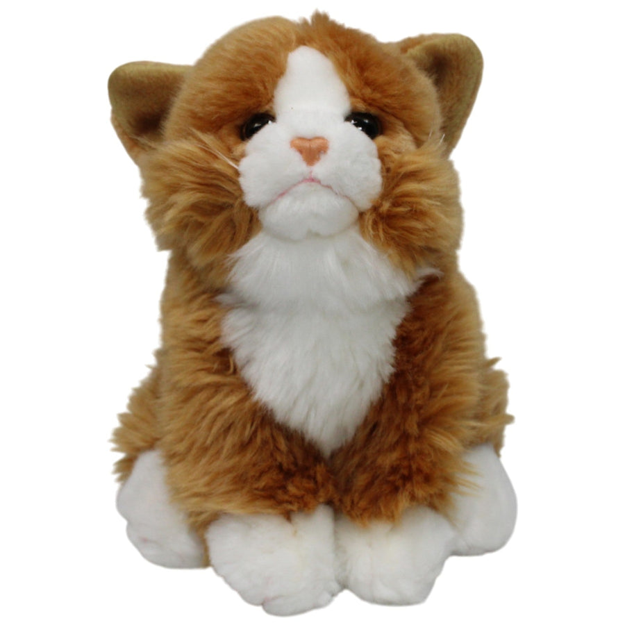 Leosco, orange-weiße Katze