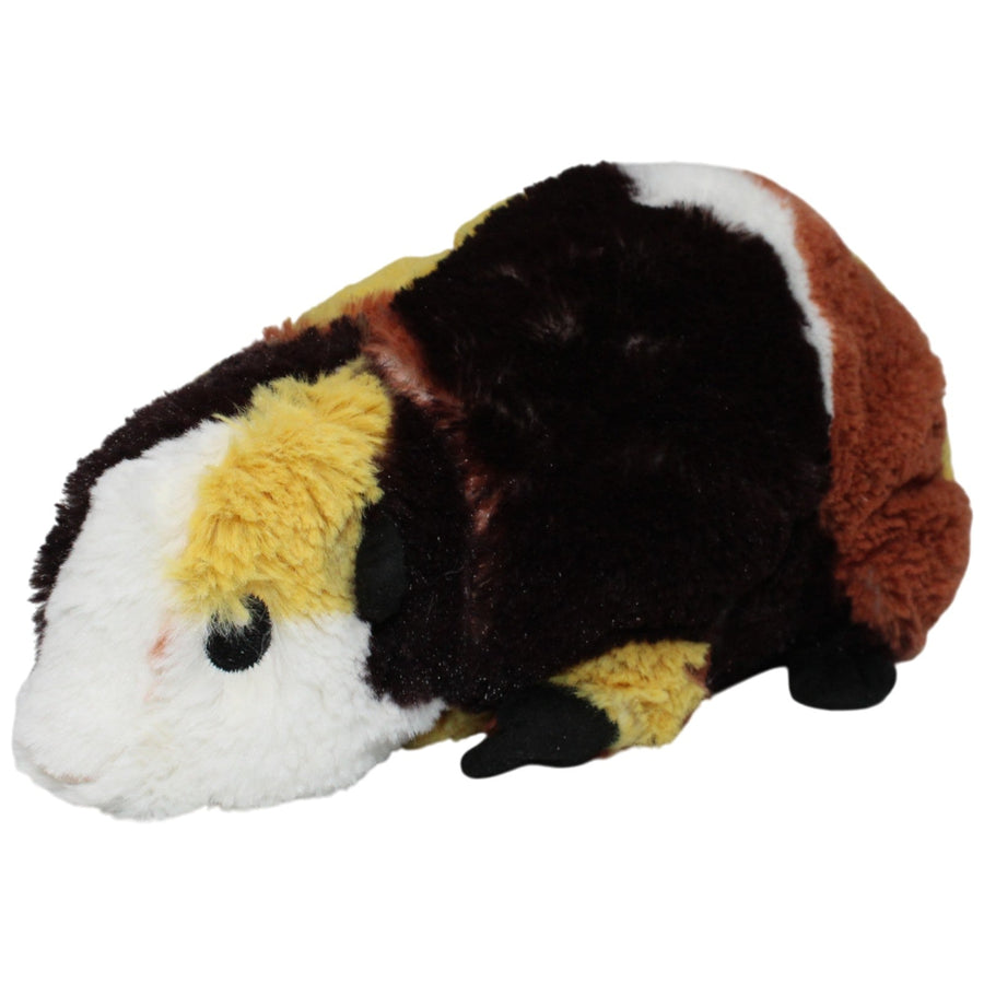 Buntes Meerschweinchen, GOSIG