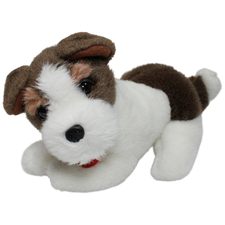 Jack Russell Terrier